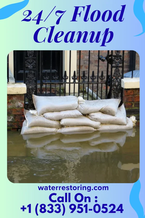 24/7 Flood Cleanup in Mission, TX