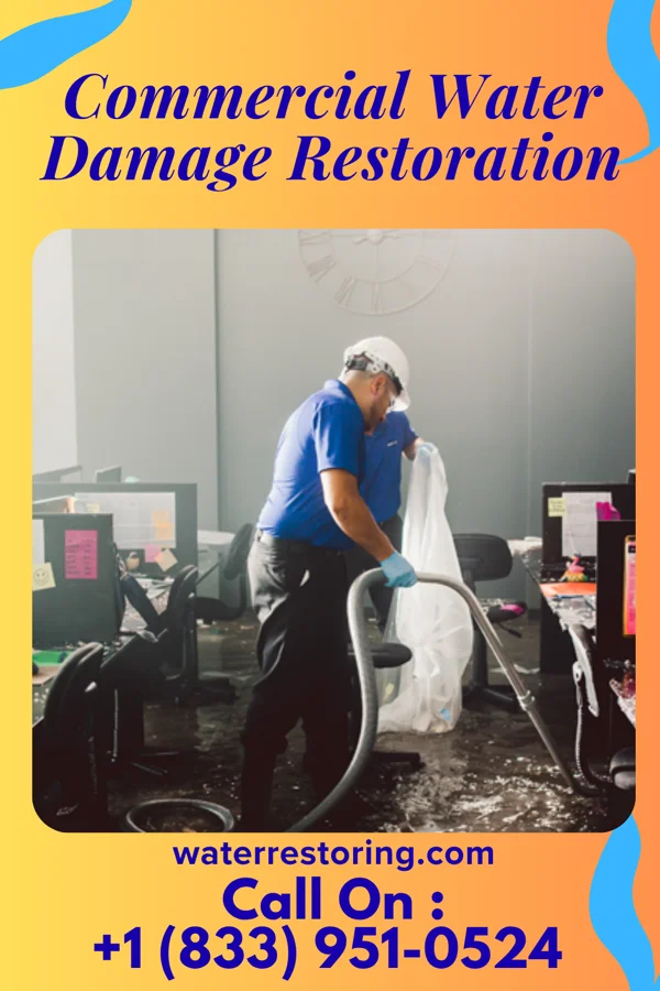 Commercial Water Damage Restoration in Mission, TX