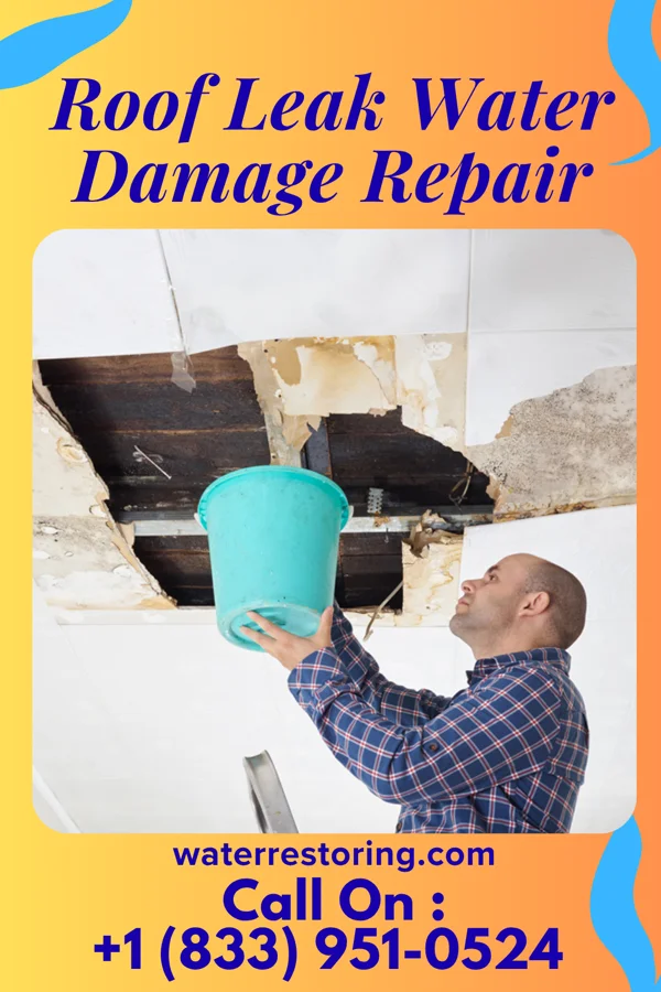 Roof Leak Water Damage Repair in Mission, TX